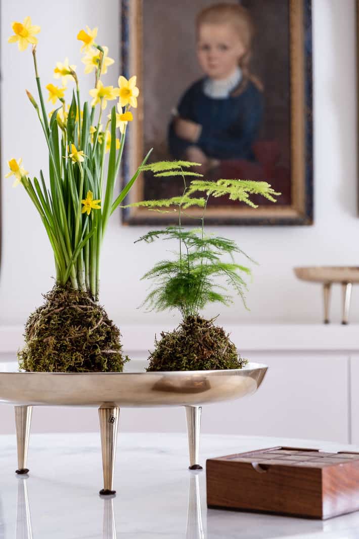 Quick & Easy Moss Pots to Boost Your Indoor Plant Game. - The Art of Doing  Stuff
